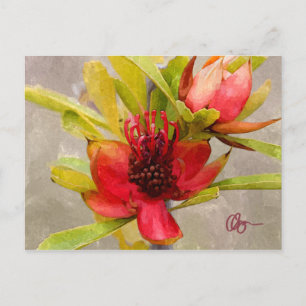 Protea Love Briefkaart