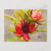 Protea Love Briefkaart (Voorkant)