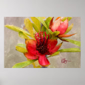 Protea Love Poster (Voorkant)