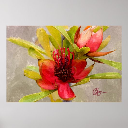 Protea Love Poster (Voorkant)