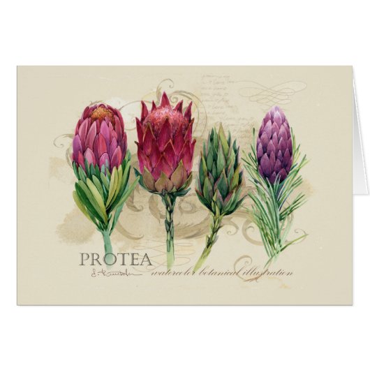 Protea Notecard (Voorkant Horizontaal)