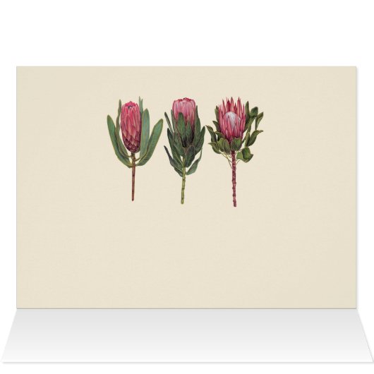 Protea Notecard (Binnen Horizontaal (Boven))