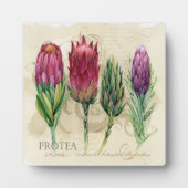  Protea Plaque Fotoplaat (Voorkant)