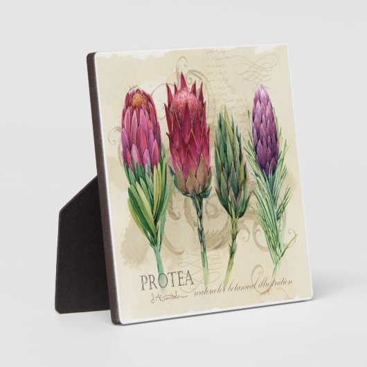 Protea Plaque Fotoplaat (Voorkant)