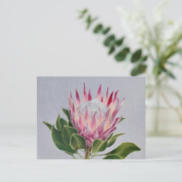 Protea Postcard Briefkaart