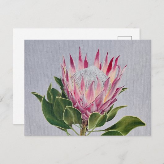 Protea Postcard Briefkaart (Voorkant / Achterkant)