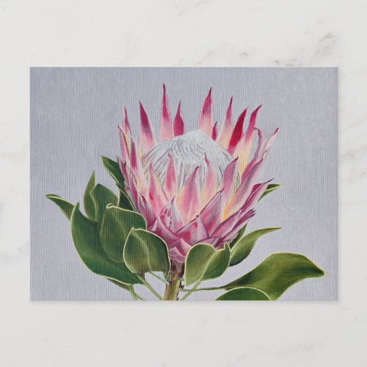 Protea Postcard Briefkaart (Voorkant)