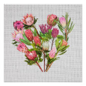 Protea Poster (Voorkant)