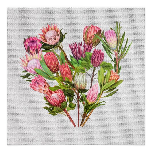 Protea Poster (Voorkant)