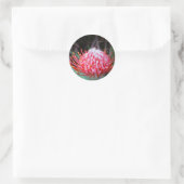 Protea Ronde Sticker (Tas)