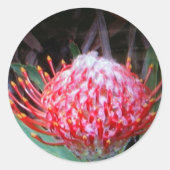 Protea Ronde Sticker (Voorkant)