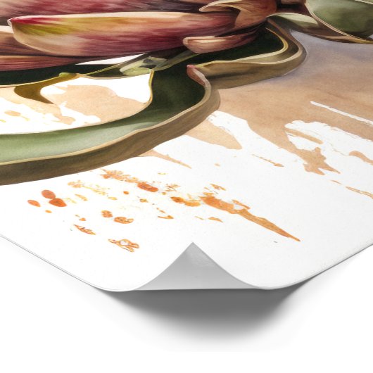 Protea Sugarbushes Flowers Art Print Poster (Hoek)