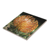 protea tegeltje (Zijkant)