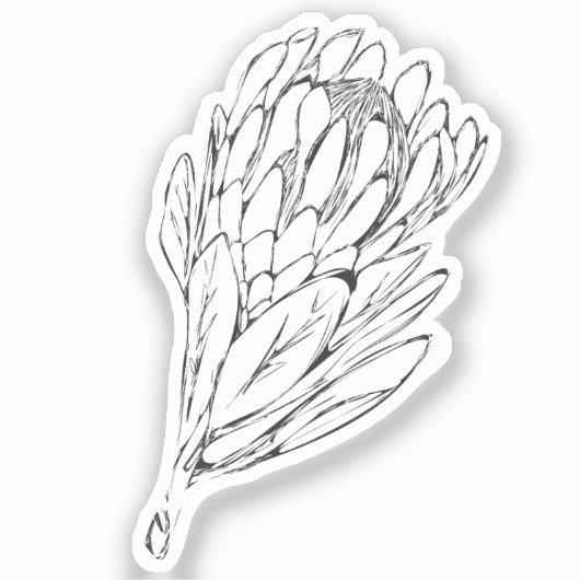 Protea Zwart & Wit custom cut sticker II (Voorkant)