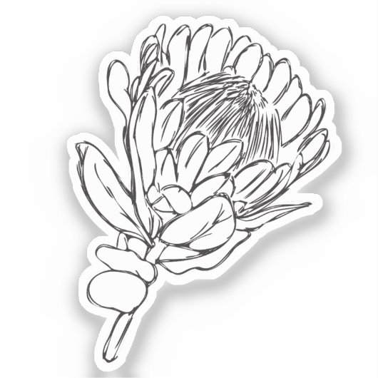 Protea Zwart & Wit Custom cut Sticker III (Voorkant)