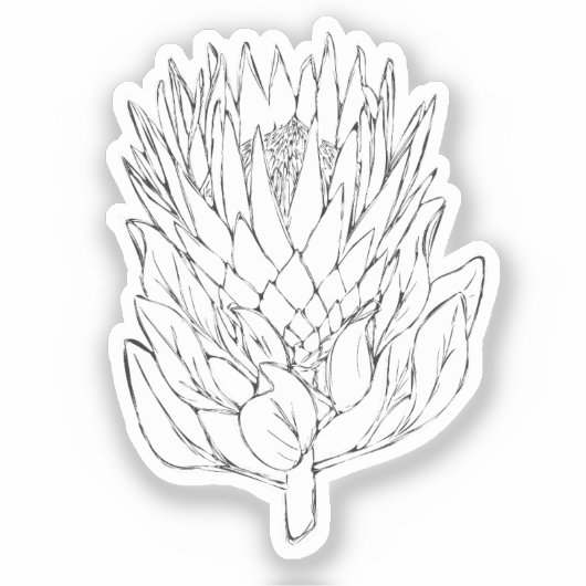 Protea Zwart & Wit custom cut Sticker IV (Voorkant)