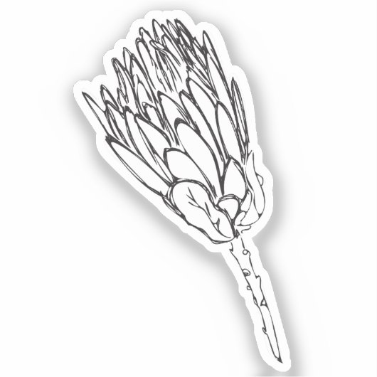 Protea Zwart & Wit Custom Cut sticker V (Voorkant)