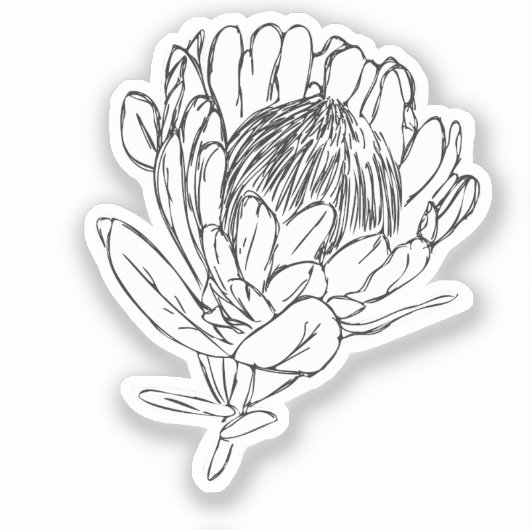 Protea Zwart & Wit custom cut sticker VI (Voorkant)