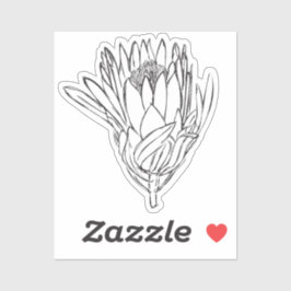 Protea Zwart & Wit custom cut sticker VII