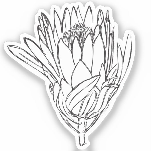 Protea Zwart & Wit custom cut sticker VII (Voorkant)