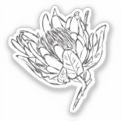 Protea Zwart & Wit custom cut sticker VIII (Voorkant)