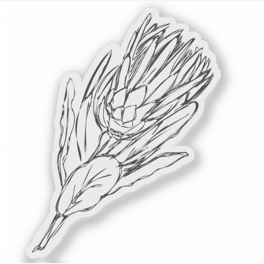 Protea Zwart & Wit custom sticker I (Voorkant)