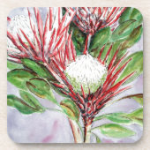 Proteas Bier Onderzetter (Voorkant)