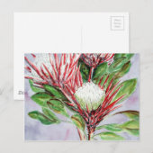 Proteas Briefkaart (Voorkant / Achterkant)