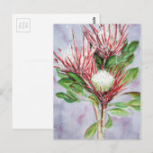 Proteas Briefkaart (Voorkant / Achterkant)