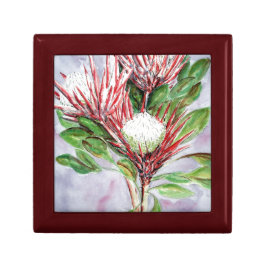 Proteas Cadeaudoosje
