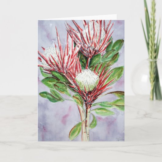 Proteas Feestdagen Kaart (Voorkant)