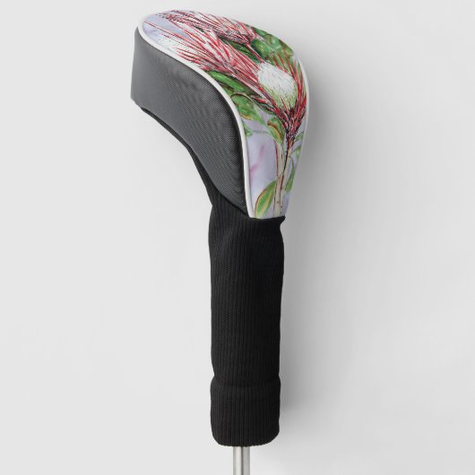 Proteas Golfheadcover (Schuin)