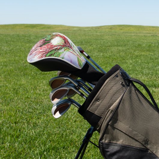 Proteas Golfheadcover (Insitu)