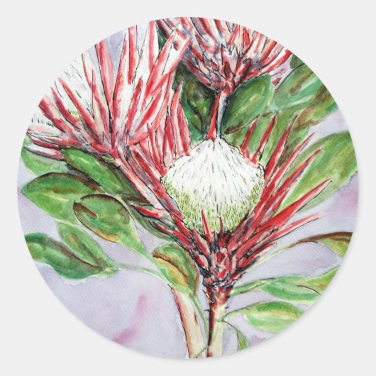 Proteas Ronde Sticker (Voorkant)