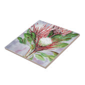 Proteas Tegeltje (Zijkant)