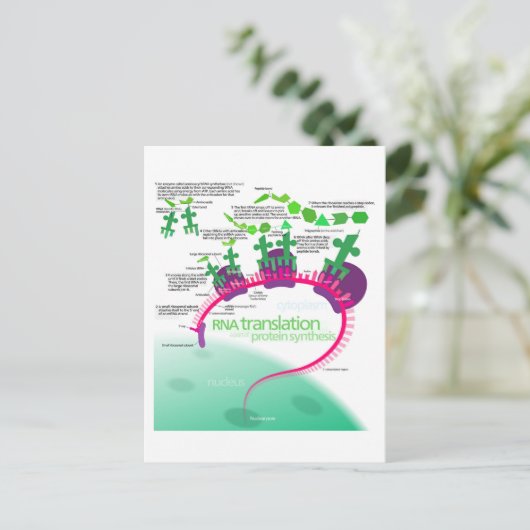 Proteïne Synthese Diagram van RNA vertaling Briefkaart (Staand voorkant)