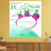 Proteïne Synthese Diagram van RNA vertaling Canvas Afdruk (Insitu (Woonkamer))