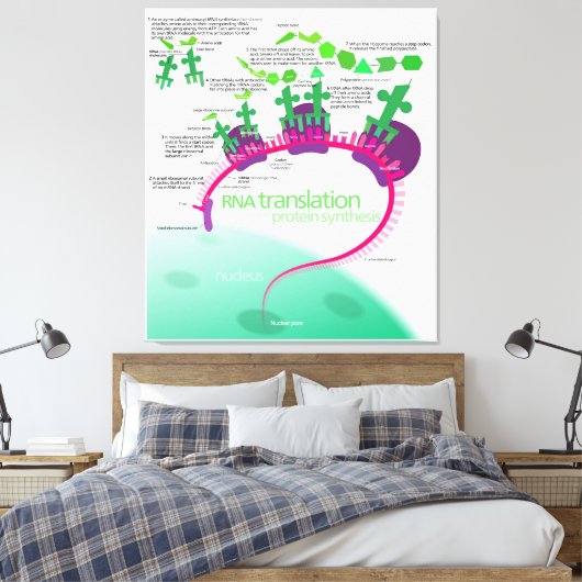 Proteïne Synthese Diagram van RNA vertaling Canvas Afdruk (Insitu (Slaapkamer))