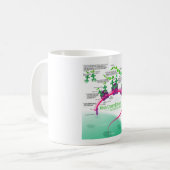 Proteïne Synthese Diagram van RNA vertaling Koffiemok (Voorkant links)