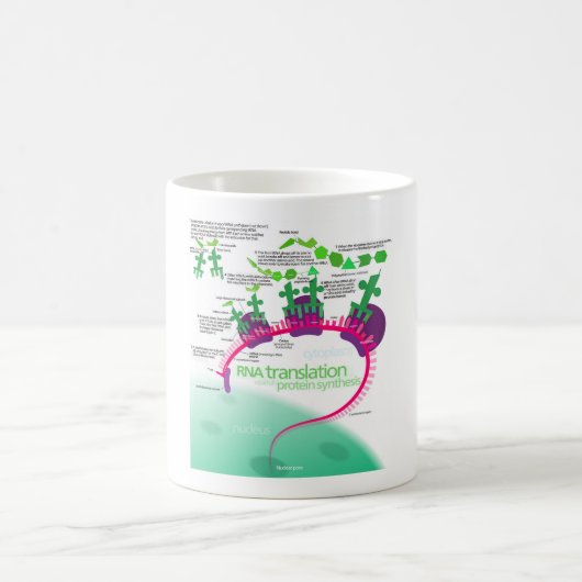Proteïne Synthese Diagram van RNA vertaling Koffiemok (Center)