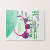 Proteïne Synthese Diagram van RNA vertaling Legpuzzel (Horizontaal)