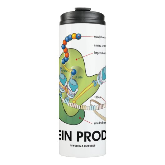 Proteïneproducent Biology Protein Synthesis Humor Thermosbeker (Voorkant)