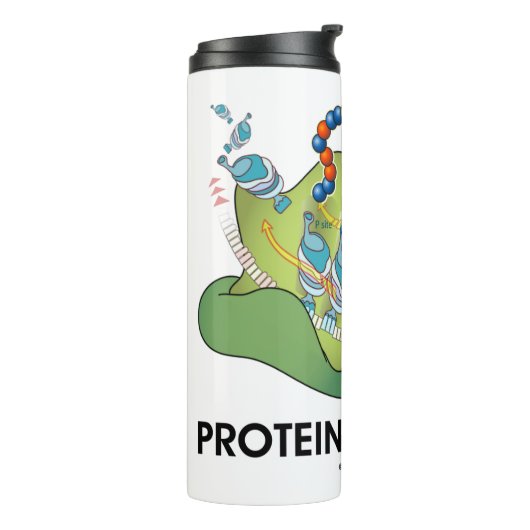 Proteïneproducent Biology Protein Synthesis Humor Thermosbeker (Gedraaid links)