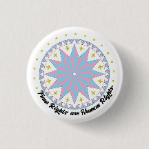 Protest Hex Sign Trans Rights Button