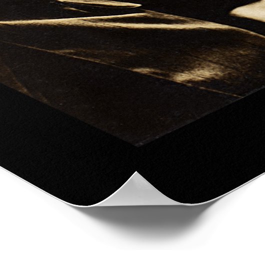 Protest kinderarbeid in New York City 1909 Poster (Hoek)