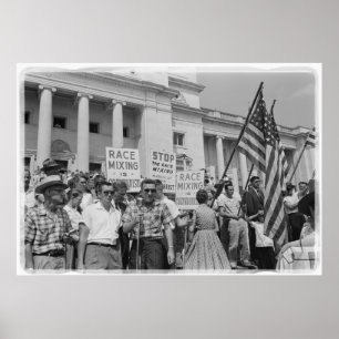 Protest van Race Menging Civil Rights Movement Poster