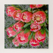 Protheebloem foto 20' x 20' 676 stuk legpuzzel (Verticaal)