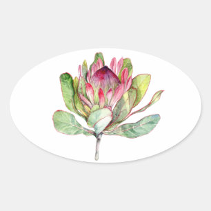 Protheefventiel Ovale Sticker