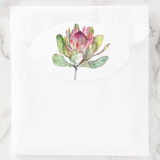 Protheefventiel Ovale Sticker (Tas)