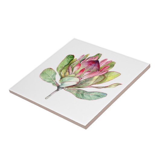 Protheefventiel Tegeltje (Zijkant)